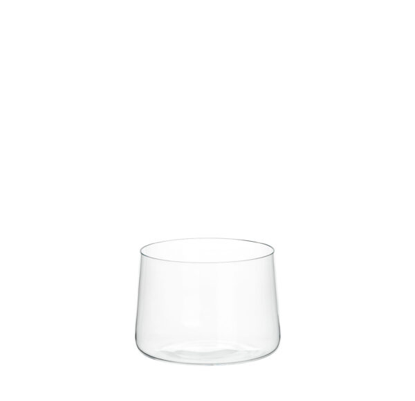 TS283GL whiskey tumbler