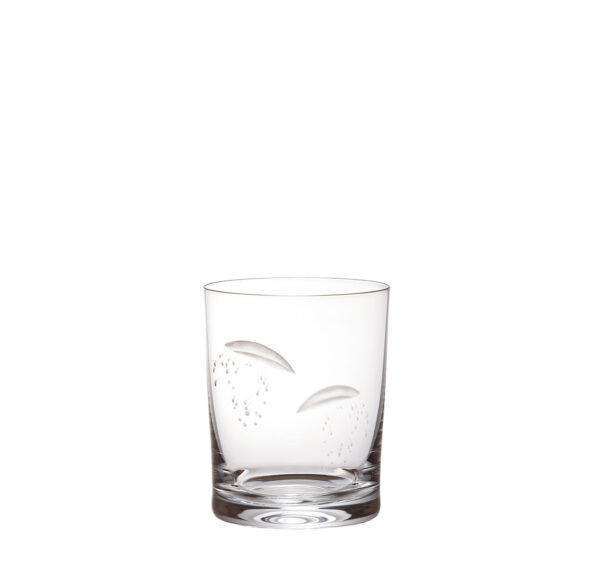 TS248GS Water tumbler MARS 