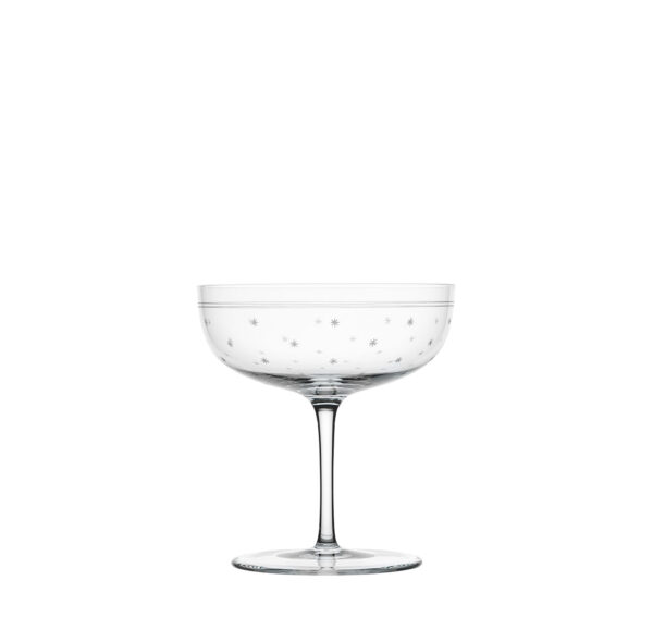TS4ROS Champagne cup “Rothschild stars”