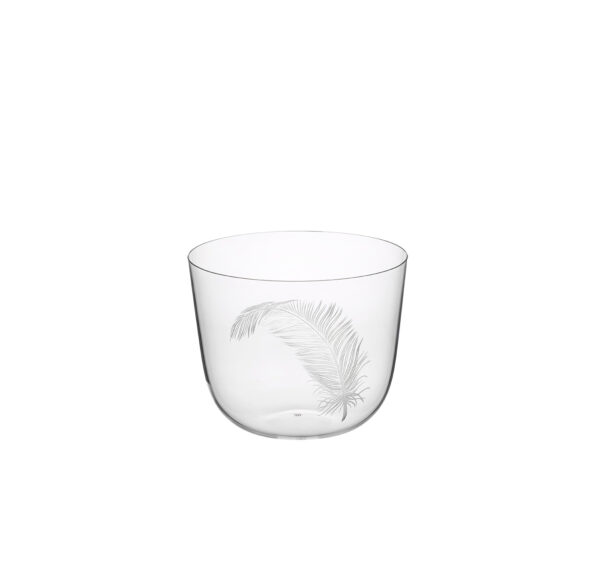 TS267GR Water tumbler engraved feather 3