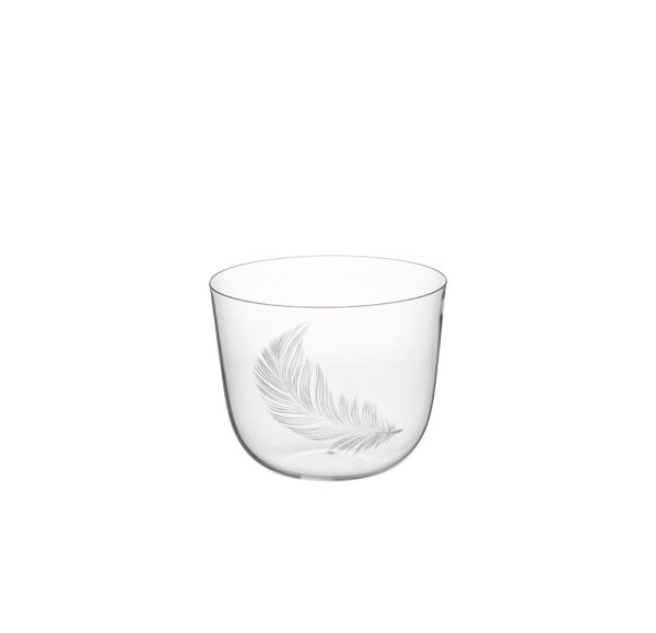 TS267GR Water tumbler engraved feather 6