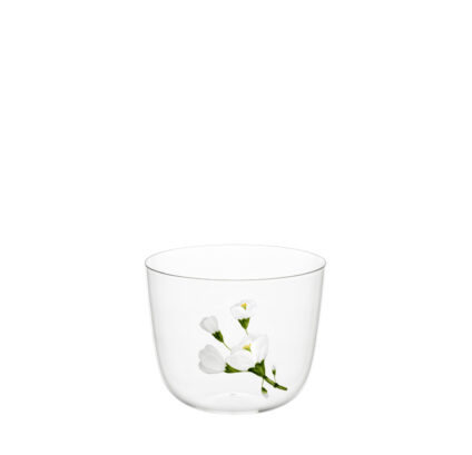 2267012_LOBMEYR_TS267GM_Water_tumbler_clear_Jasmin_A_Drinking_set_no.267_-_Alpha_1.jpg
