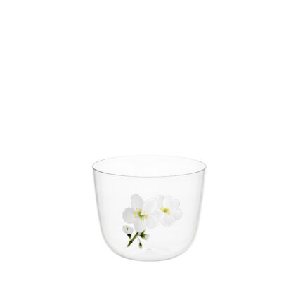 2267014_LOBMEYR_TS267GM_Water_tumbler_clear_Jasmin_C_Drinking_set_no.267_-_Alpha_1.jpg