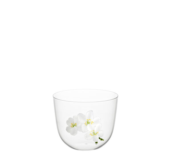 TS267GM Wasserbecher klar Jasmin D