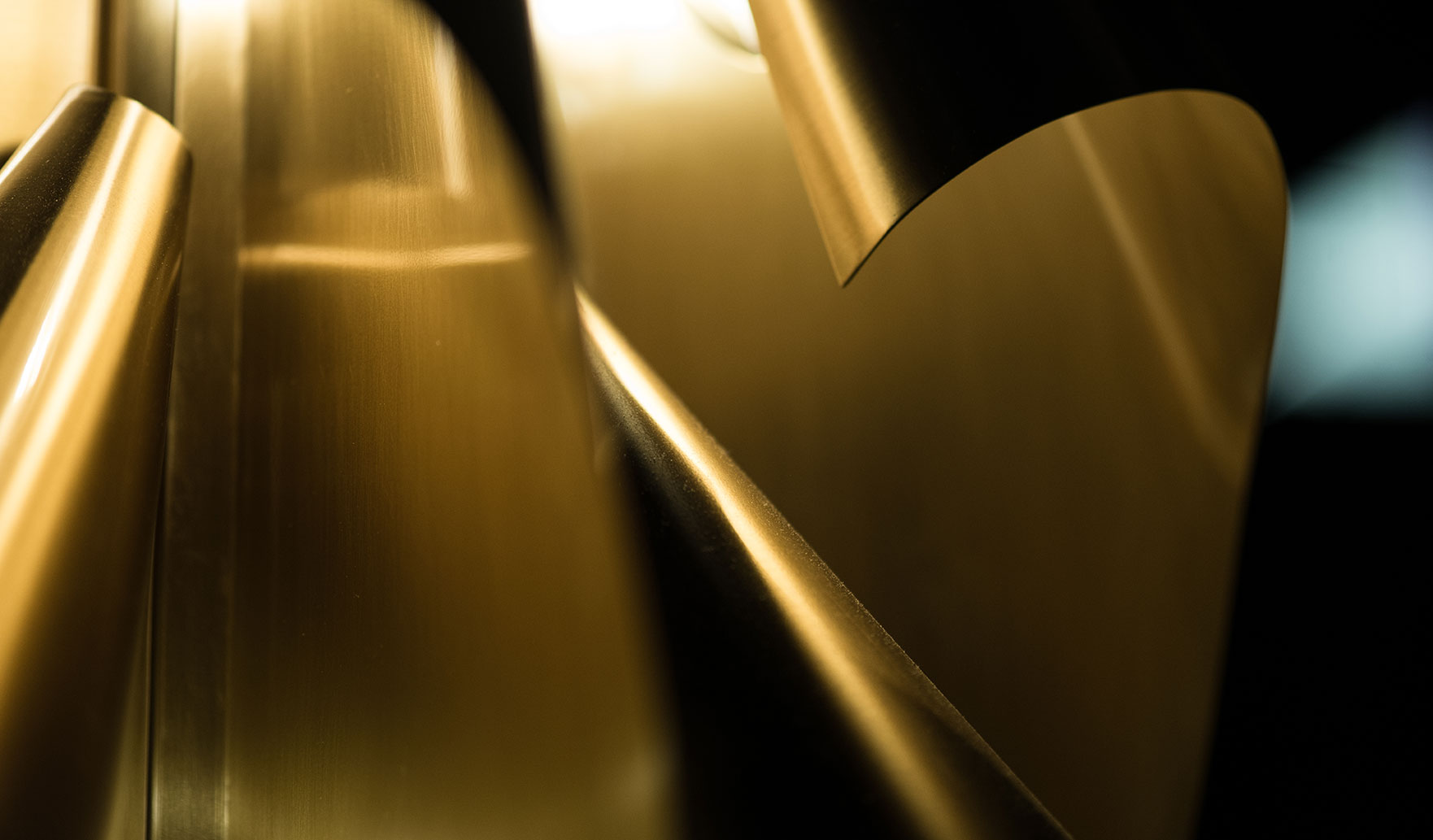 Orchid detail (c) Leon Erben